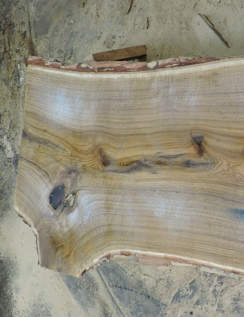 12/ 4 Live Edge White Oak slab 2661.1