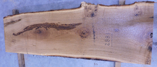 10/4  White Oak Live Edge Slab - 2881