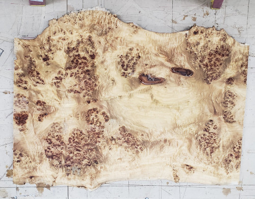 10/4 Mappa Burl Live Edge Slab 4037 10/4 Mappa Burl Live Edge Slab 4037