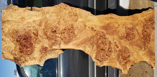 10/4 Mappa Burl Live Edge Slab 4090 10/4 Mappa Burl Live Edge Slab 4090