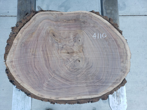 8/4 Walnut Oval 4110