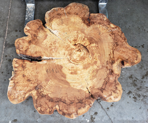 16/4  Red Elm Cookie - 4146