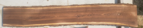8/4 Walnut Live Edge Slab - 3502