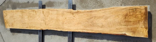 8/4 Maple Live Edge Slab 2961 A