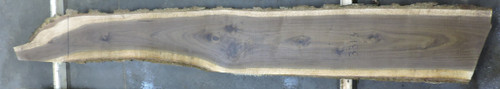 6/4 Walnut Live Edge Slab - 3313