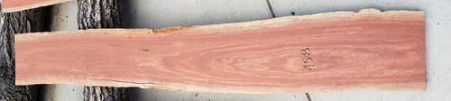 4/4 Patagonian Rosewood  458
