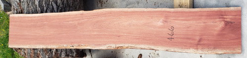 4/4 Patagonian Rosewood  466