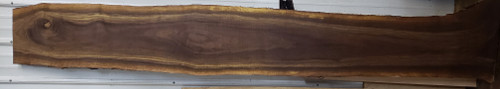 8/4 Walnut Live Edge Slab - 4067