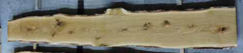 10/4 White Oak Live Edge Slab - W3187