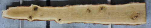 10/4 White Oak Live Edge Slab - W3188