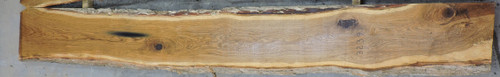 10/4 White Oak Live Edge Slab - 3239