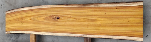 5/4 Canarywood Live Edge Slab 558