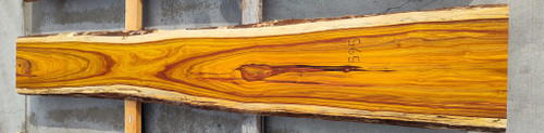 8/4 Canarywood Live Edge Slab 595