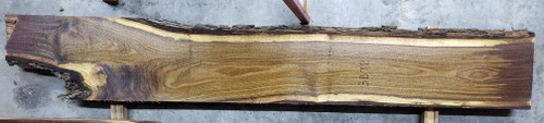 8/4 Walnut Live Edge Slab - 3872