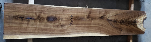 6/4 Walnut Live Edge Slab - 4356