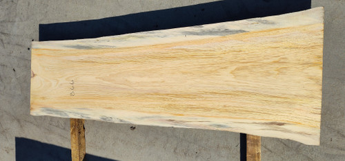 8/4 White Pine Live Edge Slab - 866
