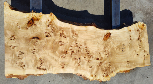 8/4 Mappa Burl Live Edge Slab 872 8/4 Mappa Burl Live Edge Slab 872