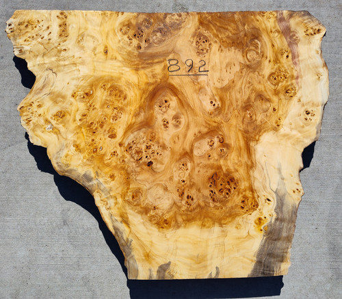 8/4 Mappa Burl Live Edge Slab 892 8/4 Mappa Burl Live Edge Slab 892