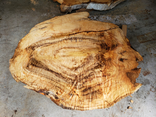 12/4 Cotton Wood burl Live Edge Slab 446 12/4 Cotton Wood burl Live Edge Slab 446