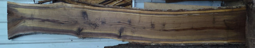 6/4 Walnut Live Edge Slab 722