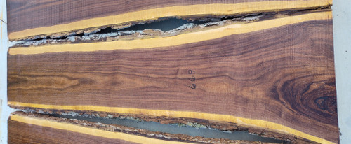 8/4 Walnut Live Edge Slab 669
