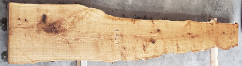 8/4 White Oak Live Edge Slab - 4427