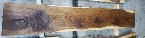 12/4 Walnut Slab 4369