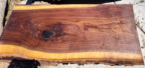 8/4 Walnut Slab 923