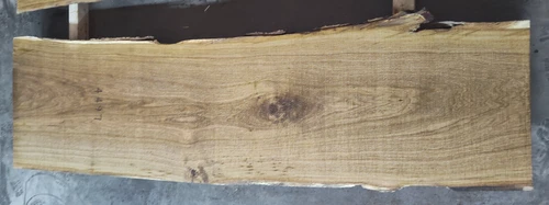 12/4 White Oak Live Edge Slab -4497