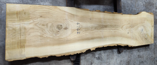 8/4 Ash Live Edge Slab -4762