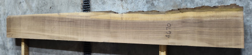 10/4 Walnut Live Edge Slab -4670