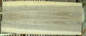 Ash live edge slab