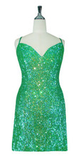 Short Handmade 8mm Cupped Sequin Gown in Transparent Iridescent Green front view