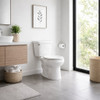 White two-piece Mexican ceramic toilet in a modern minimalist bathroom setting