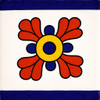 Talavera tile petal medallion decorative border design