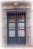 mystique forged iron window guards