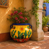 Talavera flower planter with desert sun and cactus design in a Mexican courtyard
