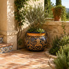 Talavera planter with caramel scrollwork and rolled rim in a Mediterranean garden