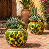 Talavera cactus flower pot displayed with desert plants on a rustic outdoor terrace