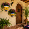 Pair of yellow and cobalt lizard wall sconces with plants beside a hacienda entryway