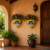 Pair of handcrafted wall sconces with plants beside a rustic hacienda entryway