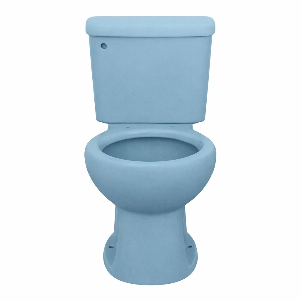 Front view of a light blue ceramic toilet