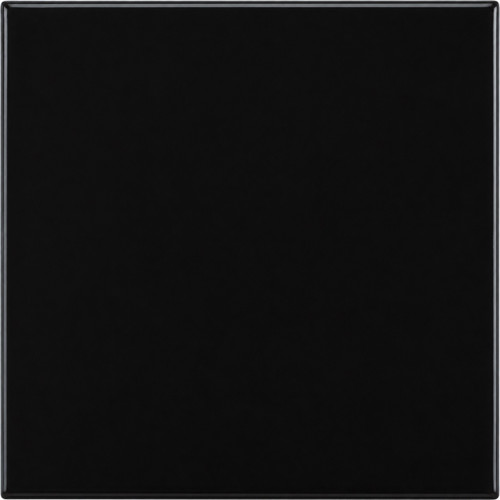 Solid black Mexican tiles