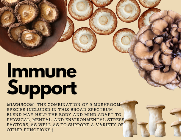 Mushroom Immune Support 60 Vcaps by Dave Hawkins' EarthWorks