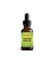 Dave Hawkins' EarthWorks PL Vitamin Ginger Rescue Syrup Concentrated 4 oz Liquid