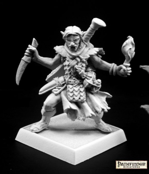 Pathfinder Miniatures: Skreed Gorewillow