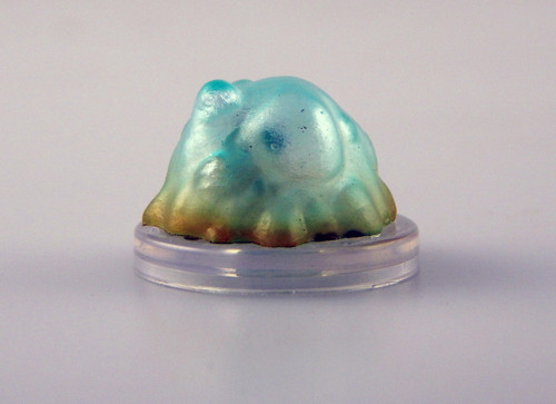 This blob of protoplasm is somewhat transparent, allowing the bones of undigested meals and a dark nucleus to be seen within. (Front View)