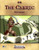 A female warrior in gold armor wields a sword, surrounded by skulls and debris, on the cover of The Cleric Reforged PDF, a part of Classes Reforged, a Pathfinder and Destro tabletop role-playing game supplement.