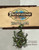 Pathfinder Society Scenario #19: Skeleton Moon PDF cover shows the Pathfinder Society logo and scenario title above an image of a green carnivorous vine coiled around and growing through a human skeleton lying on the ground.