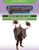 Starfinder Society Scenario #2-13: Storm of the End Times cover shows a humanoid alien wearing a gray cloak; he has antennae on his head, and his hands are held up under a pair of clouds of rusty-colored smoke.